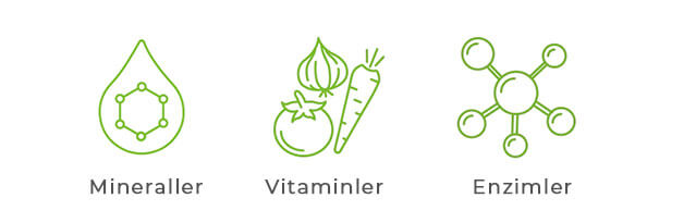 Vitaminler